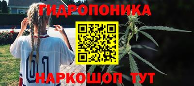 соль ск Ипатово