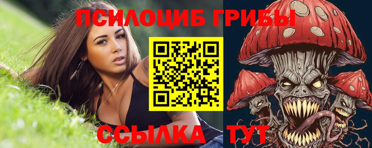 Галлюциногенные грибы Magic Shrooms  Псилоцибиновые грибы прущие грибы  Ханты-Мансийск 